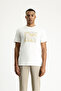 Printed Slim Fit Crew Neck Cotton T-Shirt - 4