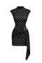 Polka Dot High Collar Dress with Buckle Detail and Belted Gathering - Black - Sevde Ugur