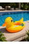 Figured Patterned Inflatable Sea Ring for Children, Lightweight, Colorful, Fun, with Seat (80-70 cm) - 3