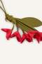 Women's Floral Keychain H2126Axns - 2