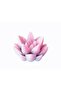 3.2cm Mini Succulent Flower Silicone Mold K-1575, Scented Stone Soap Plaster Candle Mold - 3
