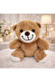 Cute Plush Teddy Bear 25 cm Soft Textured Decorative Teddy Bear for Kids and Gifts Plush Toy - 2