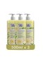 Divine - 500Ml(Pack of 3) - Anti-Bacterial,Skin-Softening & Moisturizing Liquid Hand Wash 1.5Liters