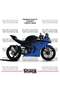 ملصق طلاء CFMOTO 450SR ثنائي اللون، طقم جاهز لتزيين المحرك، عالي الجودة