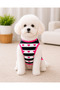 Hearted Dog Tshirt Dog Outfit - 3