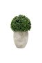 Artificial Boxwood Ball In Ceramic Pot H38cm - Green - 3
