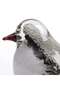 Lola Glass Bird Decor Figurine 13x7.5x8cm - Black - 2