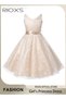 Kids Girls Tulle Princess Dress, Elegant Lace Gowns Dress V Neck Sleeveless Dress for Toddler Girls,