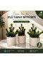 Set of 3 Artificial Money Tree and Abundance Tree - 3