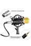 Professional BM800 Condenser Microphone Kit for PC Studio Karaoke Recording - 2