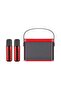 -219 Bluetooth Karaoke Speaker System with Dual Wireless Microphones – Portable Outdoor Sound System