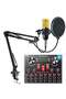 V8S Sound Card Upgraded VM-800 Condenser Microphone Set
