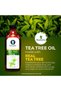 Essential Tea Tree Oil Pure and Herbal Oils, 150 Ml