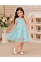Chiffon Neck Dress - 2
