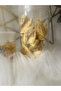 Spicy Mango - 2