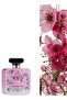 8 قطع من عطر تيمبيستوس 100 مل - 2