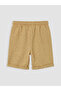 Two Mt Shop Quality Lcw Kids Brown Plain Standard & Regular Boys' Shorts - 2