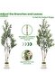 Lifelike 152cm Double Stem Faux Olive Tree Dense Lush Foliage Adjustable Branches Moss Planter Maintenance Free Decorative Potted Tree For Office Bedroom Entryway Corner - 6