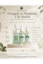 Anti-Acne 3-Piece Skin Care Set |   Sebum Balancing Cleanser + Salicylic Acid Serum + Azelaic Acid Serum for Oily and Acne-Prone Skin