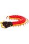 by Battat – Remote Control Centipede Toy for Kids – RC Giant Scolopendra with LED Eyes – Electronic Arthropod Animal & Fast Moving Legs – 6 Years + - 8