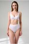 Laser Cut Seamless High Waist Slip, Recovery Fabric, Colorful 3-Pack and 6-Pack Packs - 6