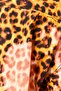 Women Spread Collar Short Sleeve Animal Print Shirt, Multicolor - 5