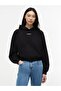 Tjw Script Raglan Hoodie