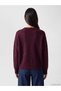 Plum V-Neck Women's Knitwear Sweater (W6) - 4