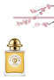 9 قطع من عطر إمبريز أورا 100 مل - 2