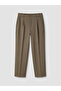 Brown Regular Fit Men's Pleated Trousers