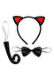 Cat Costume Set - Red Ears, Crown, Tutu Skirt, Bow Tie, and Tail |   Children's Party and Performance Accessory - 3