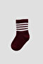 Baby Boy and Child Premium Cotton Sock Set - 4