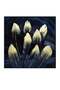 Tarfa's Feathers Tempered Glass Art