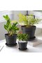 A set of 6 flower pots - with saucers - 20cm round - 3