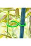 Plant Wall Clips - Support for Vegetables and Flowers - Pack of 200 - Green - Plastic - 2