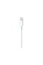 Type-C - Lightning Kablo - 2