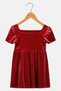 Toddlers Girl Velvet Puff Sleeve Dress, Red - 2