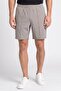 Men Sportswear Fit Outdoor Shorts, Grey