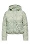 Hooded Coat 15373691 - 5