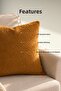 Plush Throw Pillow 42 X 42 cm Soft Textured Decorative Sofa Cushion - 2