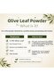 Olive Leaf Powder Ground - 50 Gr - 2