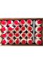 D3-D4 İSKELET TUTKALI 1000gr - 3
