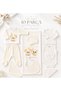 Koala Embroidered 10 Piece Hospital Discharge Set 100% Cotton Newborn Baby Bodysuit Set Ecru - 3