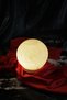 White Globe Model Salt Lamp with Wooden Base Decorative Ambient Lamp