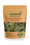 Sawtooth Lion's Claw 75g, Natural and Without Additives
