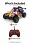 Wild Racing Model Rally RC Car - 2.4GHz Remote Control 4WD Vehicle - 6