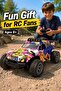 Wild Racing Model Rally RC Car - 2.4GHz Remote Control 4WD Vehicle - 7