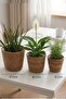 Crow Natural Wicker Flower Pot Hsr-93 Flower Pot Set with Inner Bag - 3 Size Wicker Multi-Purpose Organizer Towel Basket