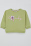 Girl's Sweatshirt with Bow Flower Printed 2-6 Years, Pistachio Green - 2