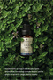 Thyme Essential Oil 10 ml Pure and Natural (Oregano Essential Oil) - 4